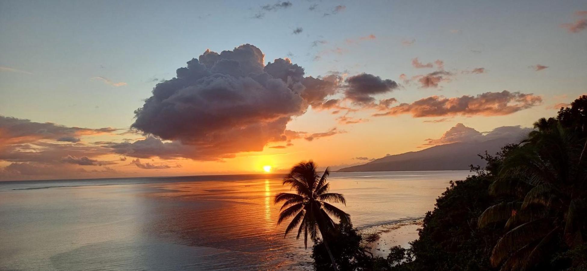 Maui Homestay Vue Ocean Exceptionnelle & Baleines En Saison Tohautu Esterno foto